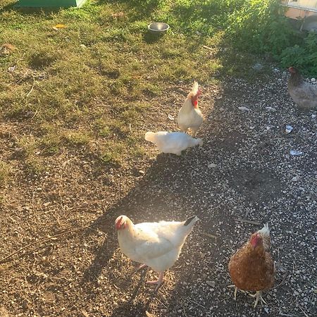 Logement Independant Le Poulailler Proche Guedelon Treigny Exterior foto